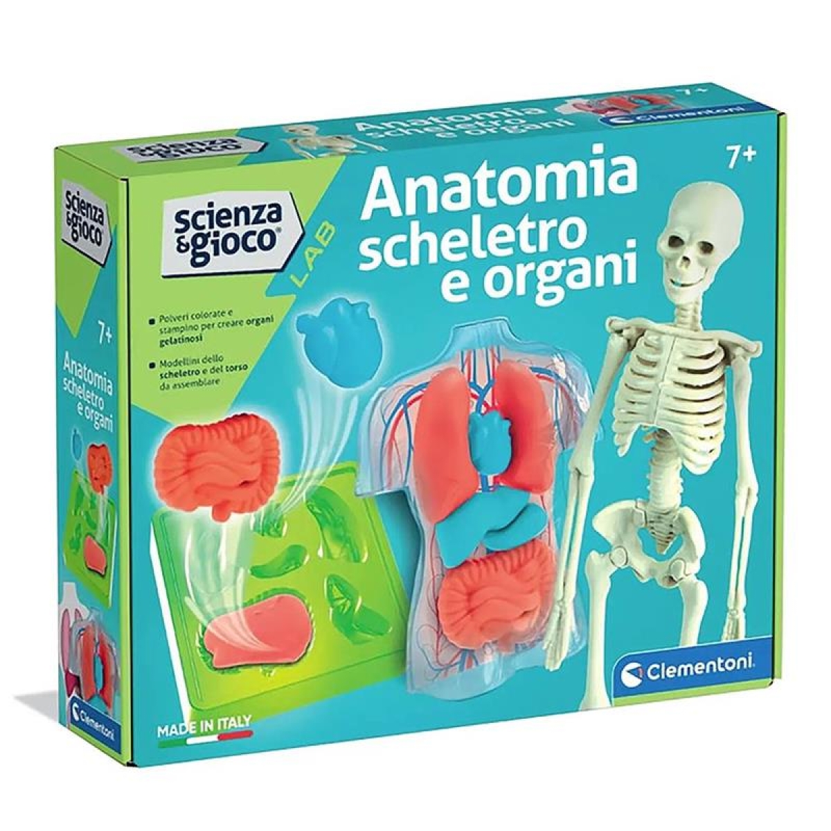 CLEMENTONI Scienza Gioco Lab Anatomia Scheletro E Organi