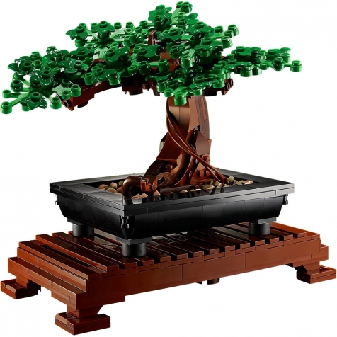 10281 - albero bonsai