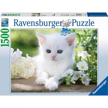 gattino bianco - puzzle 1500 pezzi