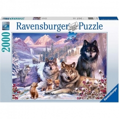 lupi nella neve - puzzle 2000 pezzi