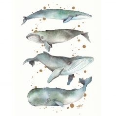 stampa originale - balene danzanti ad acquarello 20x30cm - gi/sa