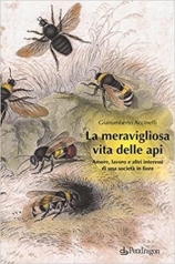 la meravigliosa vita delle api. amore, lavoro e altri interessi di una societa in fiore