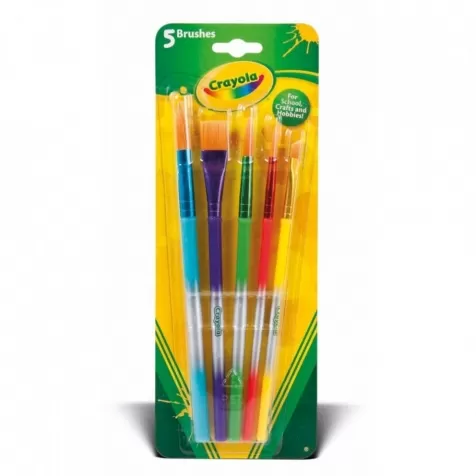 5 pennelli assortiti