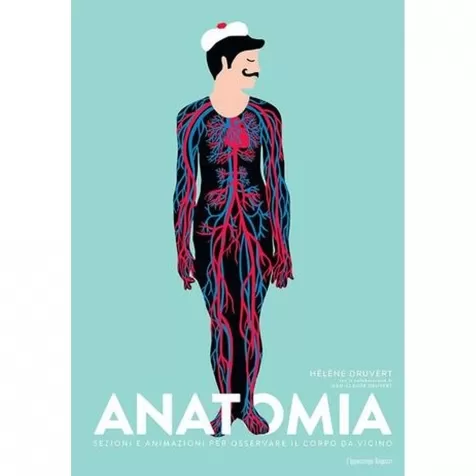 anatomia