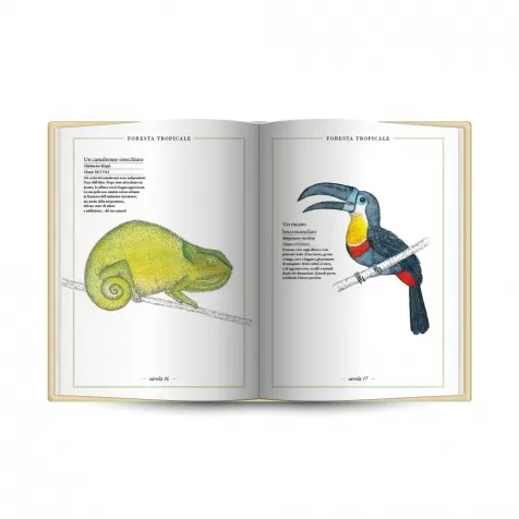 inventario illustrato degli animali