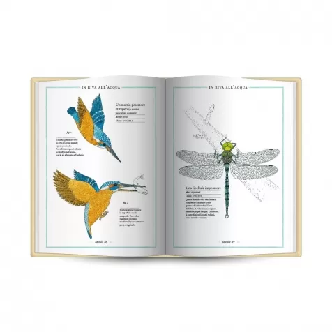 inventario illustrato degli animali