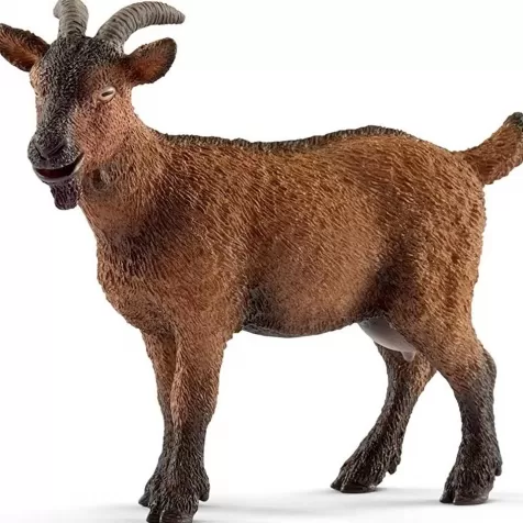 capra