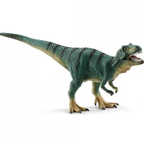 tyrannosaurus rex giovane