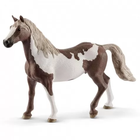 castrone paint horse