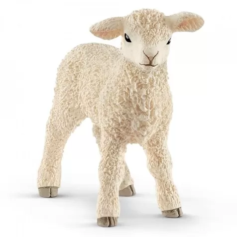 agnello - 2019