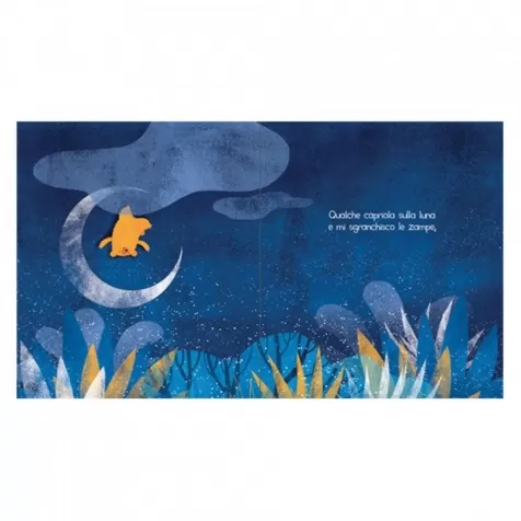 quando mi sveglio. ediz. a colori