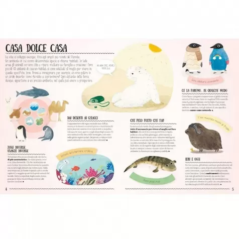 perche i pinguini non hanno freddo? come gli animali si adattano all'ambiente