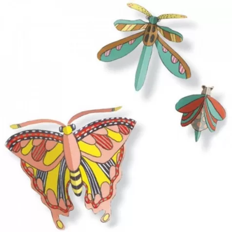 camera delle meraviglie - collezione d'insetti da colorare