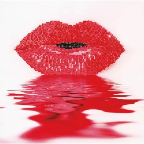 hot lips - diamond dotz intermediate dd5.003 30x30cm