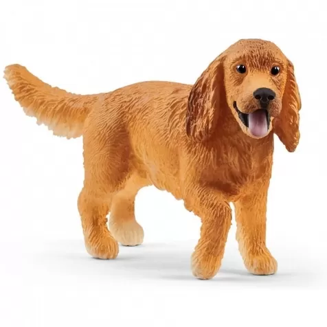 cocker spaniel inglese