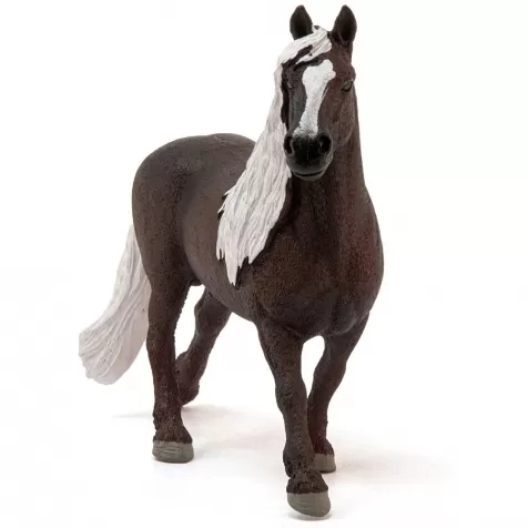 stallone della foresta nera