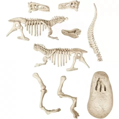 scienza e gioco - archeogiocando velociraptor luminoso al buio: 3