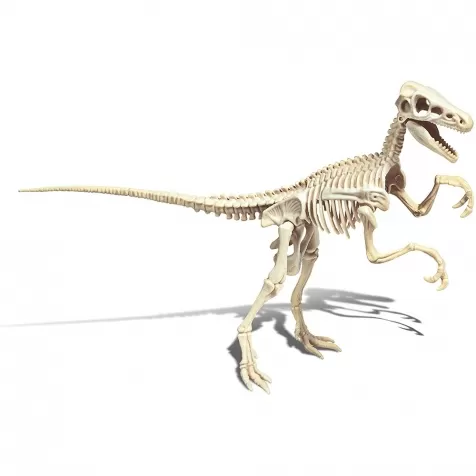 scienza e gioco - archeogiocando velociraptor luminoso al buio: 4
