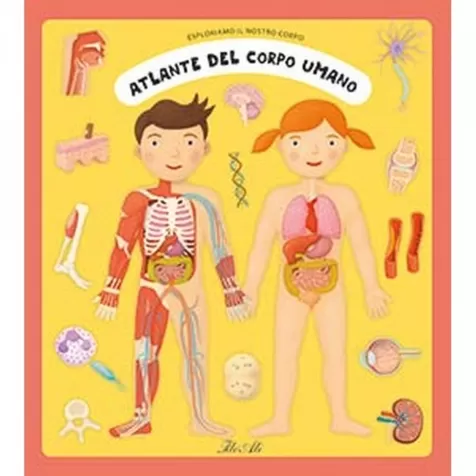atlante del corpo umano