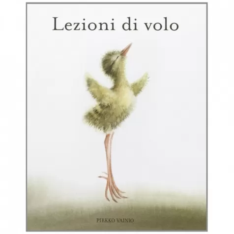 lezioni di volo