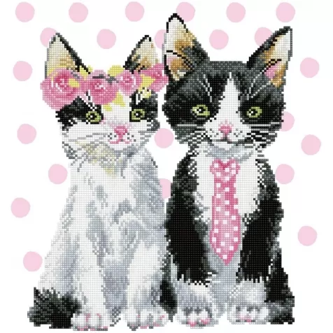 mr and mrs pink - diamond dotz intermediate dd9.053 42x47cm