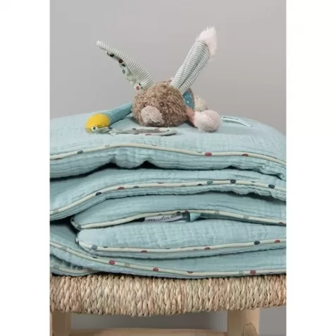 piccolo coniglio attivita