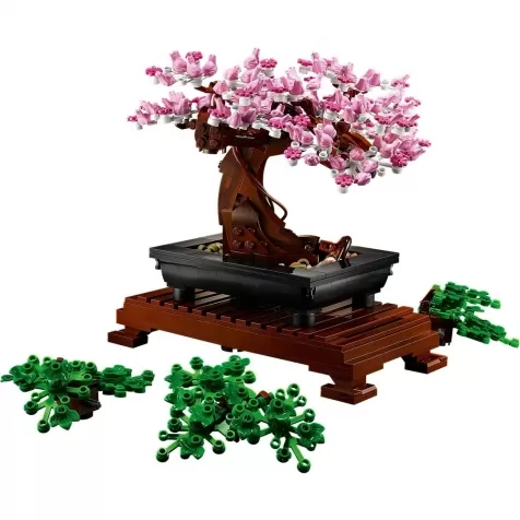 10281 - albero bonsai