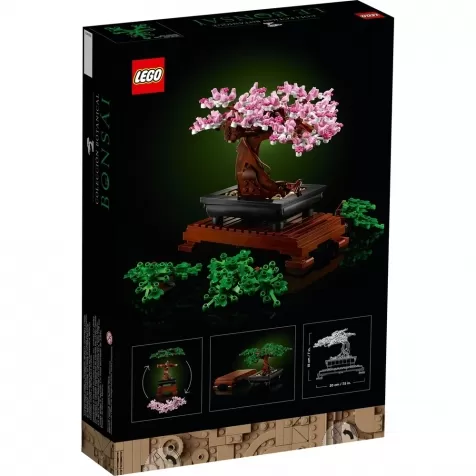 10281 - albero bonsai