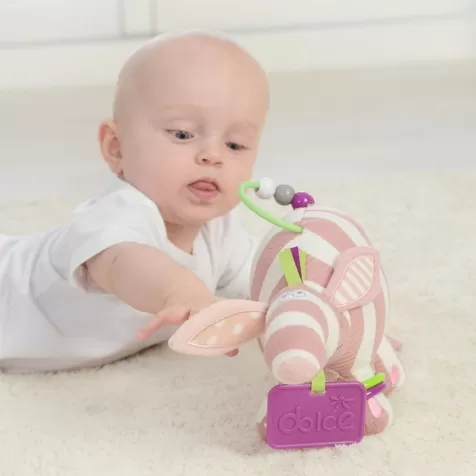 piccolo formichiere - peluche attivita
