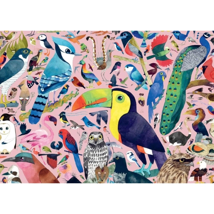 uccelli incredibili - puzzle 1000 pezzi