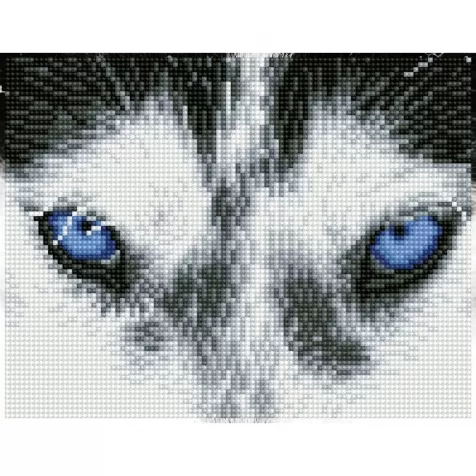 mystic husky - diamond dotz squares dq7.004 26x21cm