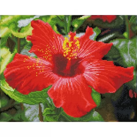 hibiscus in bloom - diamond dotz squares dq8.018 41x32cm