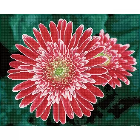 pink gerberas - diamond dotz squares dq10.001 50x40cm