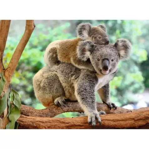 amore di koala - puzzle 200 pezzi xxl