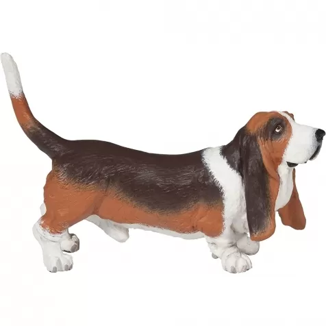 basset hound