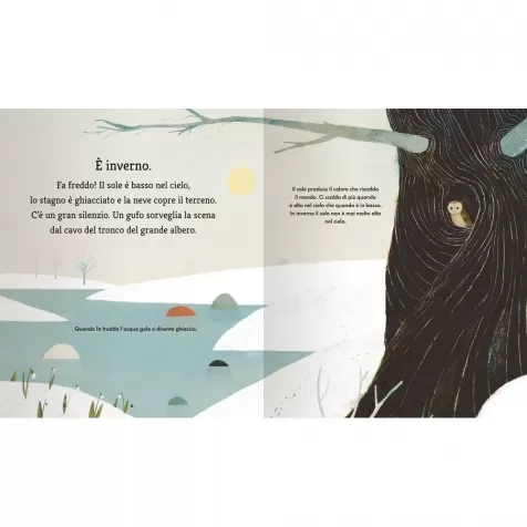 un anno con gli scoiattoli