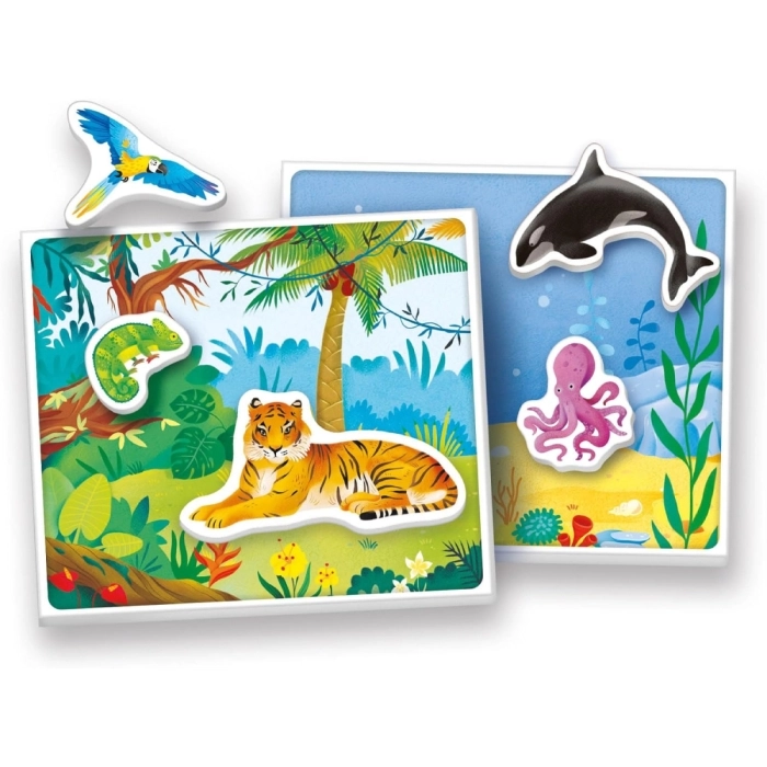 gli animali - montessori sapientino: 2