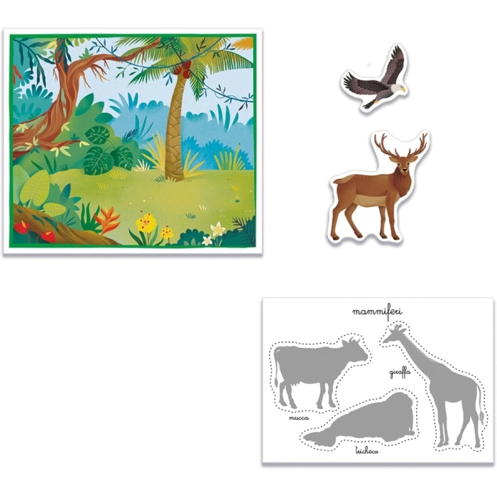 gli animali - montessori sapientino: 3