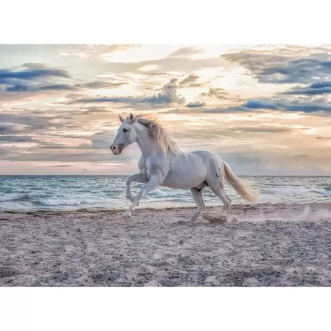 cavallo in spiaggia - puzzle 500 pezzi
