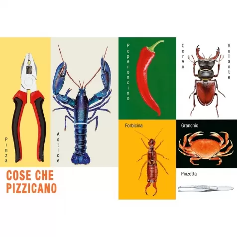 cose cosi cose cosa. ediz. a colori