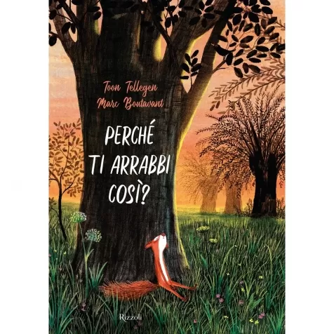 perche ti arrabbi cosi? ediz. a colori