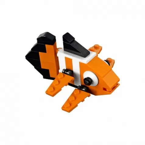 30025 - clown fish