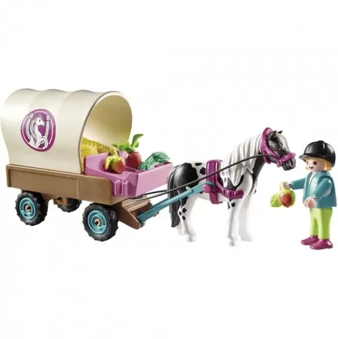 carrozza con pony