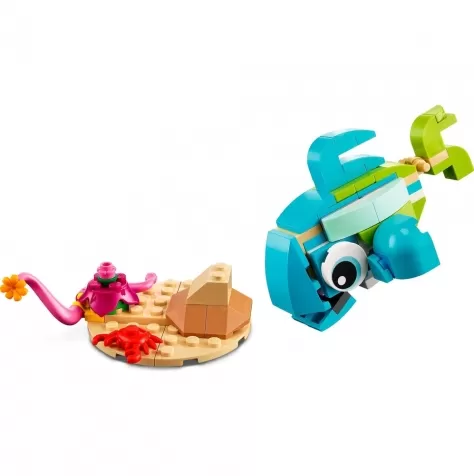 31128 - delfino e tartaruga