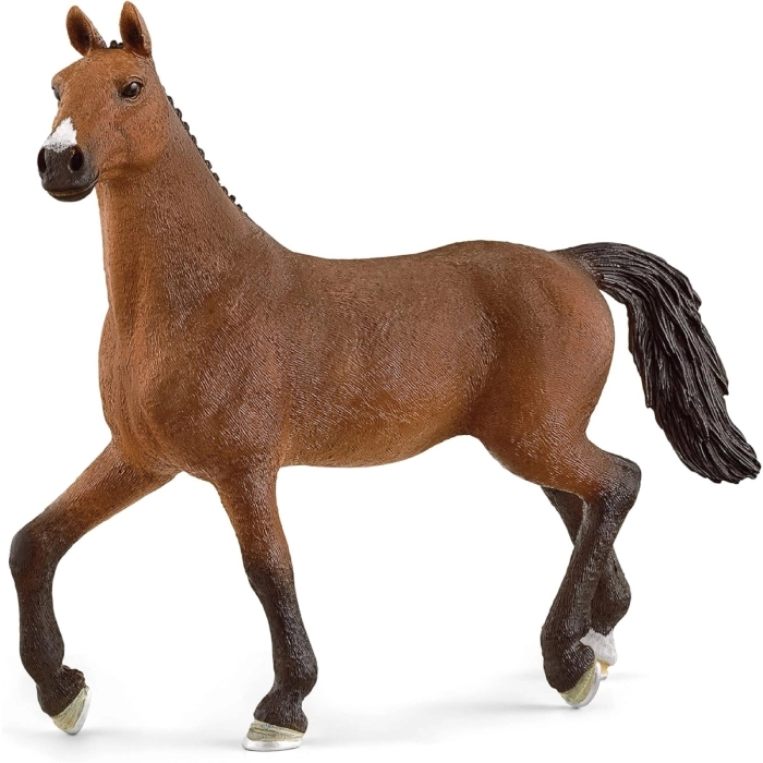 oldenburger mare