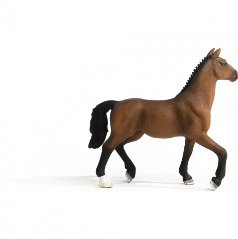 oldenburger mare