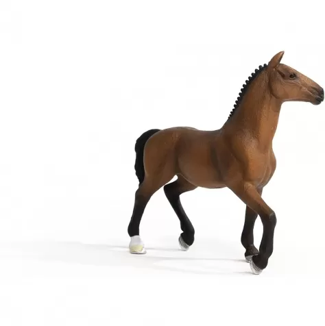 oldenburger mare