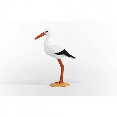 cicogna