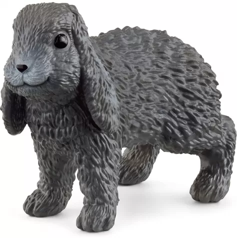 coniglio ariete nano