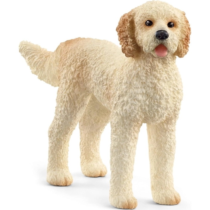 goldendoodle